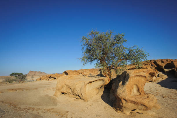 istock Rock formations at the Blutkopje 1322083703