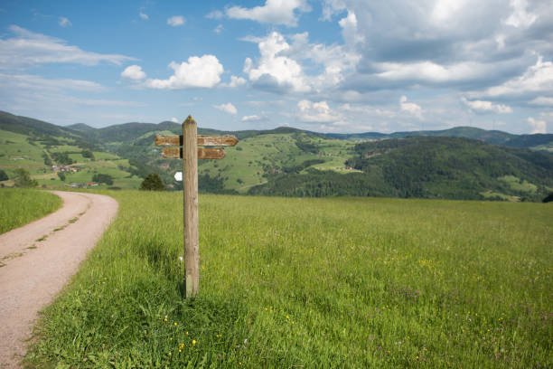 istock Signpost on a hiking trail in the Black Forest, Germany 1322085782