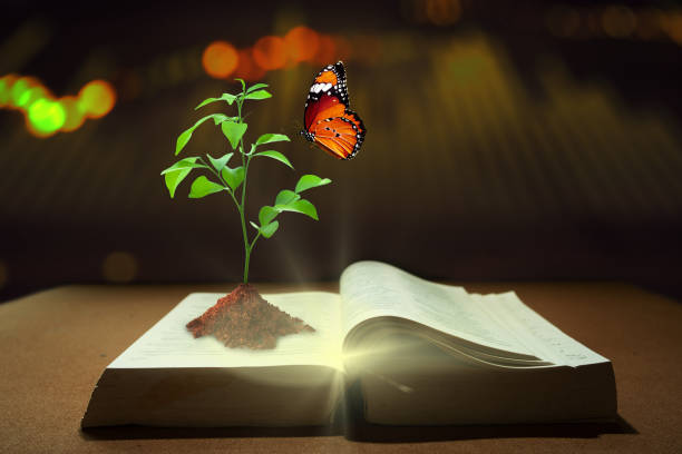 istock Book of Wisdom, Knowledge, Inspiration, and Creative thinking. 1322087120