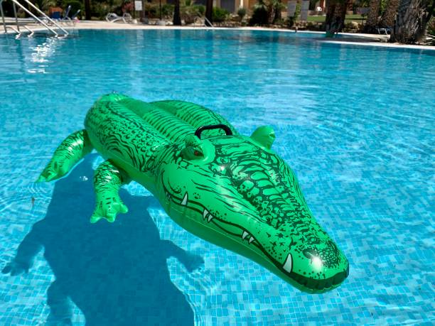 istock Green inflatable crocodile in the swimming pool 1322087127