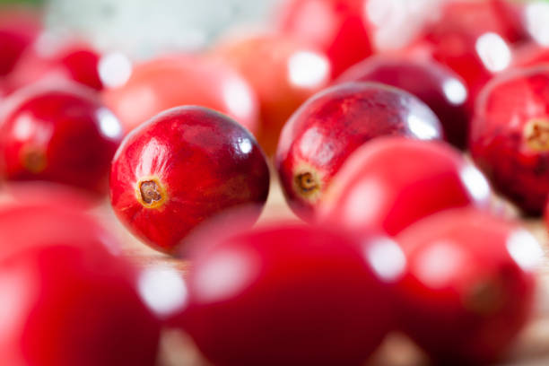 homemade cranberries grown in an industrial garden, red whole sour healthy cranberries, red ripe whole berries cranberries on the table