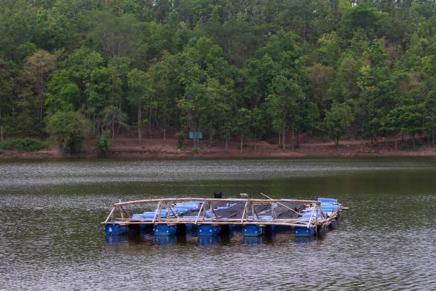 balsa hecha de bambú y bolsas de plástico - rafting thailand river inflatable raft fotografías e imágenes de stock