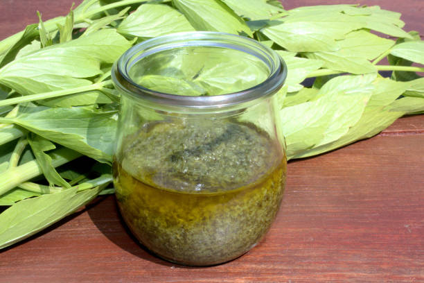 lovage pesto and lovage on brown boards lovage pesto and lovage on brown boards lovage stock pictures, royalty-free photos & images