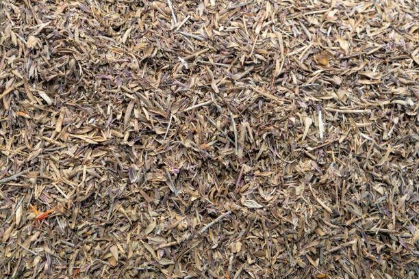 istock Texture of dry herbal tea with spices (hibiscus and other). Selective focus. 1322098649