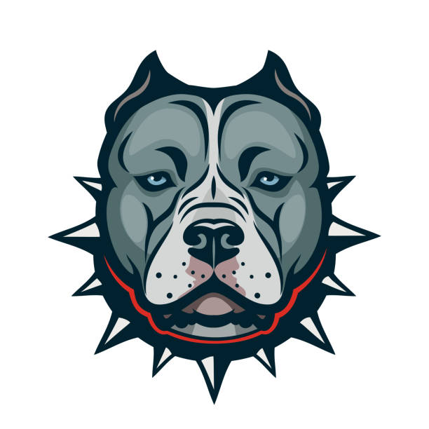 ilustrações, clipart, desenhos animados e ícones de american bully cão isolado ilustração vetorial - pit bull terrier