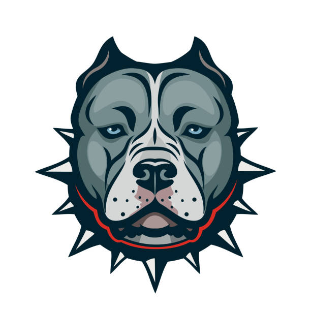 American Bully dog isolated vector illustration American Bully dog isolated pit bull terrier stock illustrations