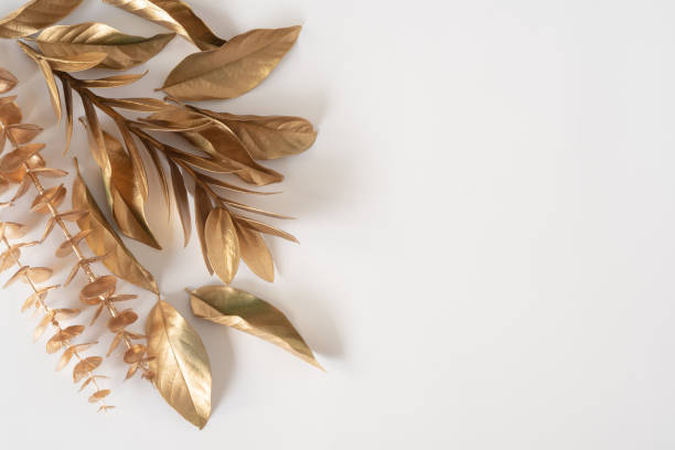 istock Gold tropical palm leaves Monstera on white background. Flat lay 1322101948