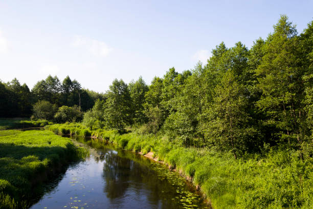 istock dirty water in a lake or river 1322102899