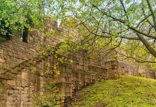 York, UK. May 28, 2021. A section of the famous York city walls.  The wall stands on a sloping grass bank and a tree with Spring foliage is above.