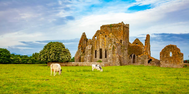 istock Idyllic Irish landscape, Ireland 1322103244