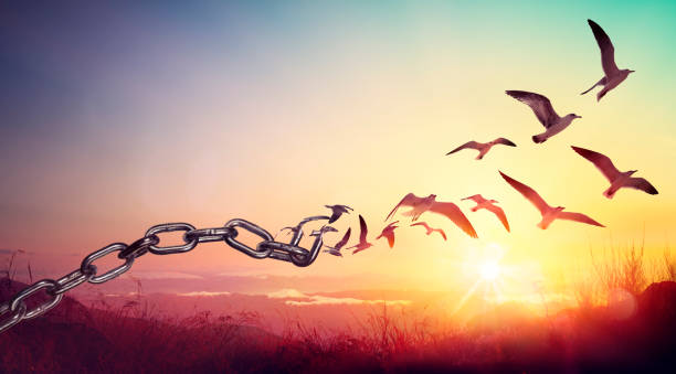 libertad - cadenas que se transforman en aves - concepto de carga - volar fotos fotografías e imágenes de stock