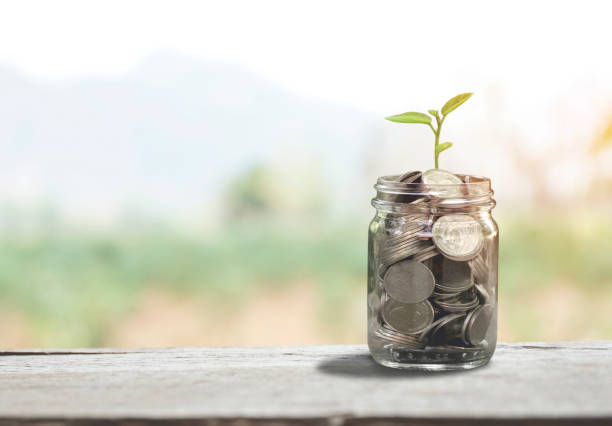 Money, saving idea, growing tree plant coin on a jar on wood table and blurred background old color filter style, Investment, And Interest Concept Money, saving idea, growing tree plant coin on a jar on wood table and blurred background old color filter style, Investment, And Interest Concept deposit bottle stock pictures, royalty-free photos & images