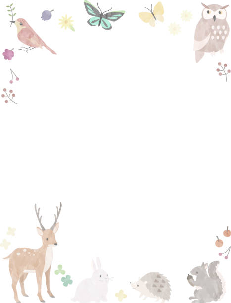 Cute frame with forest animals Cute illustration with forest animals bird borders stock illustrations