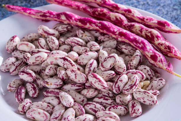 istock Pinto beans in a closeup 1322124704