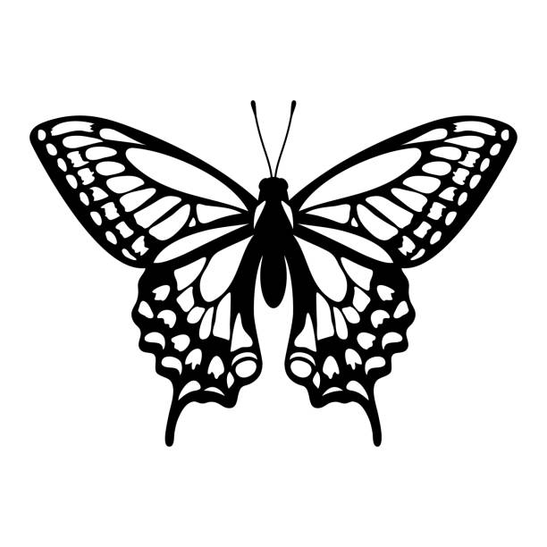 Butterfly Stencil Vector Illustration Stock Illustration - Download Image  Now - Beauty, Computer Graphic, Cut Out - iStock