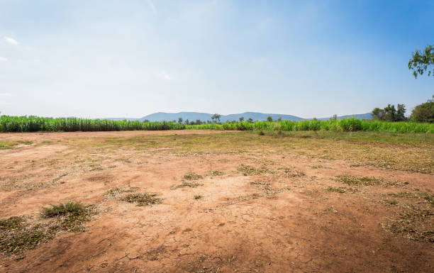 istock Empty dry cracked swamp reclamation soil, land plot for housing construction project 1322129836