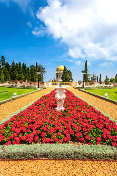 istock Luxurious flower bed with flowers 1322130379