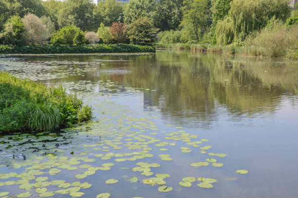 istock A Pond At The Amstelpark At Amsterdam The Netherlands 1322132022
