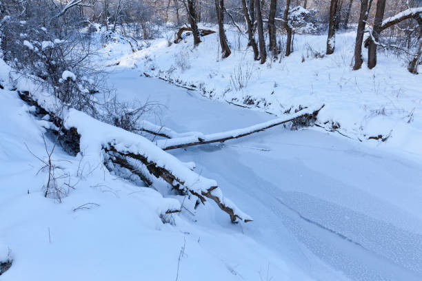 istock a narrow river in the forest in winter 1322133855