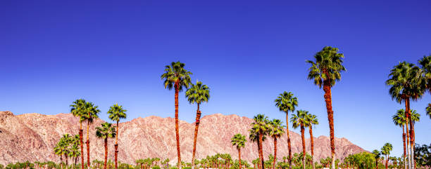 istock san jacinto mountain, palm springs, california 1322135009