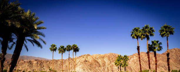 istock san jacinto mountain, palm springs, california 1322136831