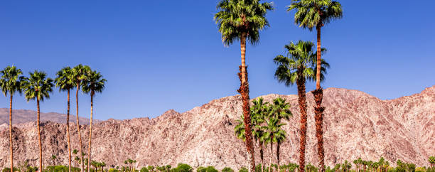 istock san jacinto mountain, palm springs, california 1322137123