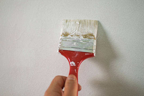istock Painting a door or wall with a paintbrush. 1322137731