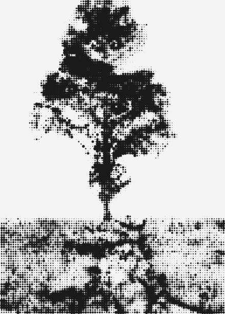abstrakcyjny czarno-biały monochromatyczny styl drzewa wzór tła - 12026 stock illustrations