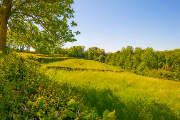 istock Fields and trees in a green hilly grassy landscape under a blue sky in sunlight in springtime 1322142738