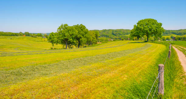 istock Fields and trees in a green hilly grassy landscape under a blue sky in sunlight in springtime 1322143311