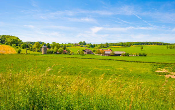 istock Fields and trees in a green hilly grassy landscape under a blue sky in sunlight in springtime 1322143397