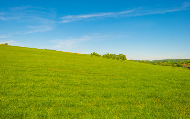 istock Fields and trees in a green hilly grassy landscape under a blue sky in sunlight in springtime 1322144359