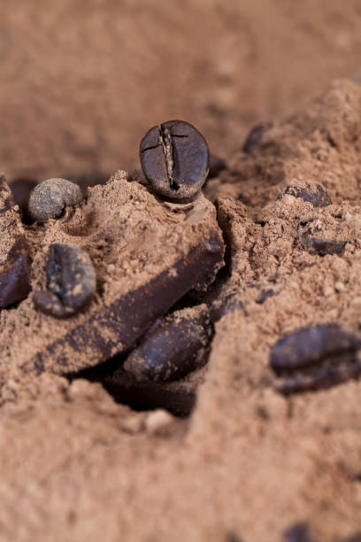 istock close up of coffee beans for making a real drink 1322146347