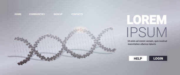 humangenetische dna-helical molekül struktur klinik medizinische behandlungsforschung und testkonzept - dna helix helix model evolution stock-grafiken, -clipart, -cartoons und -symbole