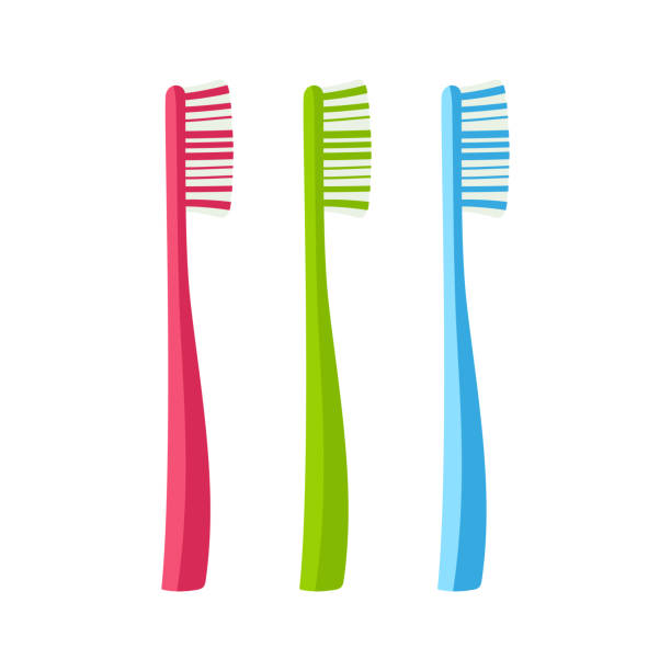 set with cartoon toothbrushes isolated on white set of three multi colored toothbrushes, subject of hygiene of the oral cavity, tooth cleaning, vector illustration isolated on white background toothbrush stock illustrations