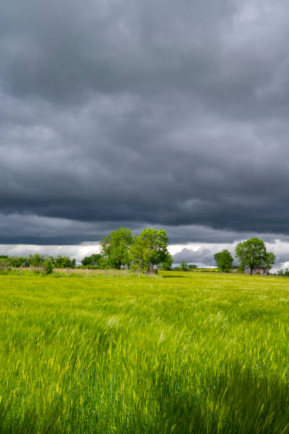 istock Spring landscape in the Auvergne mountains under a stormy sky 1322155052