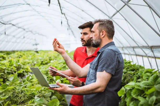 Photo of Greenhouse owner examining flowers and using laptop and  touchpad at work.