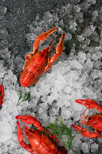 Fresh crayfish food on a black plate background. Red crayfish snack seafood with herb spices lemon rosemary and ice in the restaurant gourmet food healthy