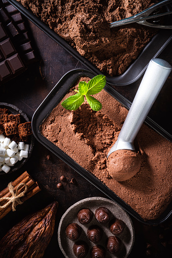 Chocolate ice cream scoop ball serving and chocolates and mint leaf, toppings and ingredients