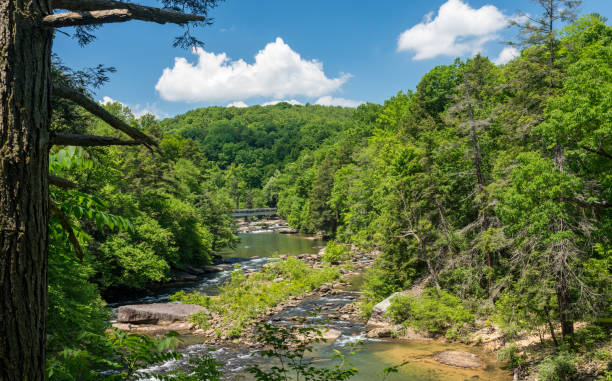 istock River flows in Audra State Park near Buckhannon in West Virginia 1322160833