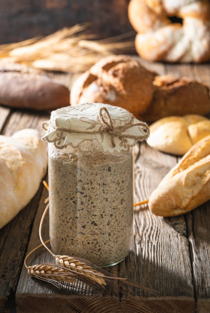 Sourdough starter for bread and bakery leavening agent levain on rustic wooden table