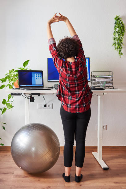Woman stretches while working at an adjustable desk standing Woman stretches while working at an adjustable desk beside a fitball standing desk photos stock pictures, royalty-free photos & images