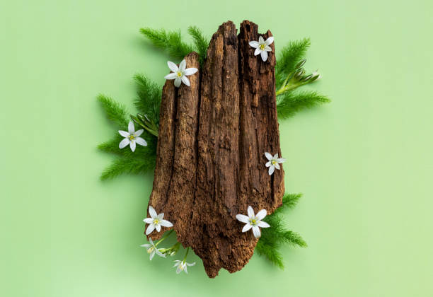 istock Natural stand of bark tree and bloom flowers with copy space. 1322163455