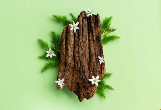 istock Natural stand of bark tree and bloom flowers with copy space. 1322163477