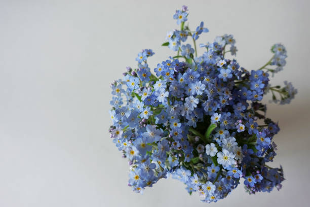 istock bouquet of forget-me-nots 1322164395