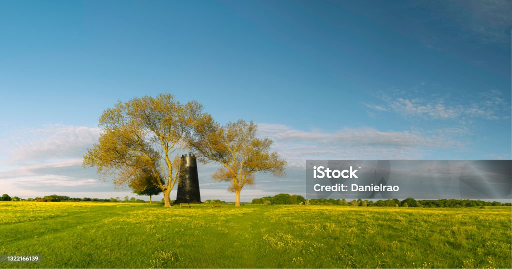 Black Mill with leafless trees and wild flowers in spring Beverley, UK. View across open pasture with flowering buttercups and disused mill flanked by two trees  on the horizon at sunrise on the Westwood in Beverley, Yorkshire, UK. East Riding Of Yorkshire Stock Photo