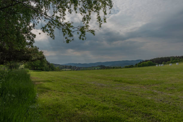 istock Meadows and fields between Vacov and Ckyne towns in Sumava mountains 1322167045