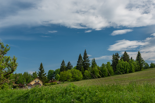 Meadows and forests near Javornik hill and village in Sumava national park in spring evening