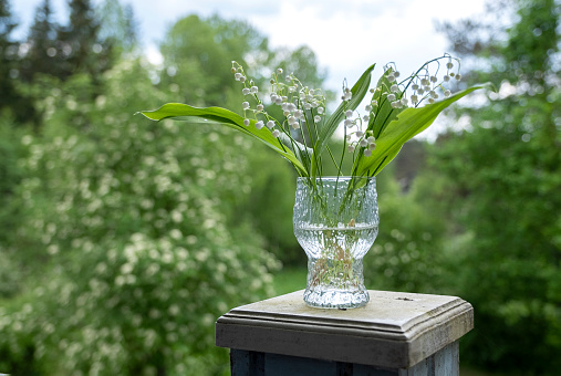 A bouquet of flowers, white blooming lilies of the valley in a glass goblet.