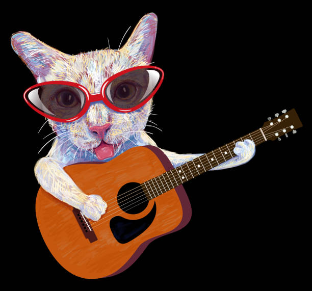 Funny cat wearing eyeglasses playing acoustic guitar, animal musician, isolated on black background.